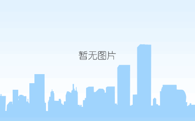 项目策划